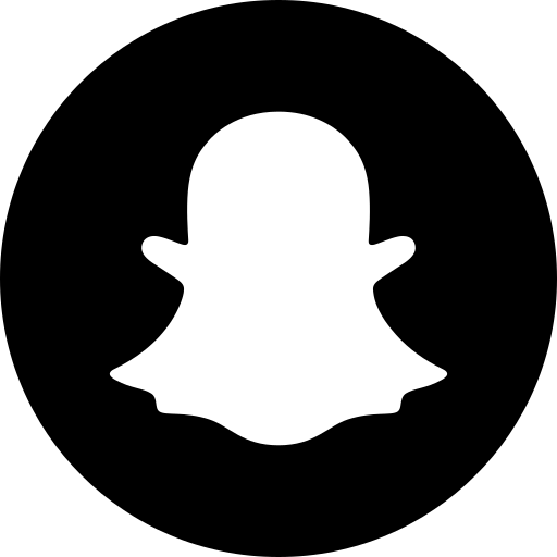 Snapchat Marketing API