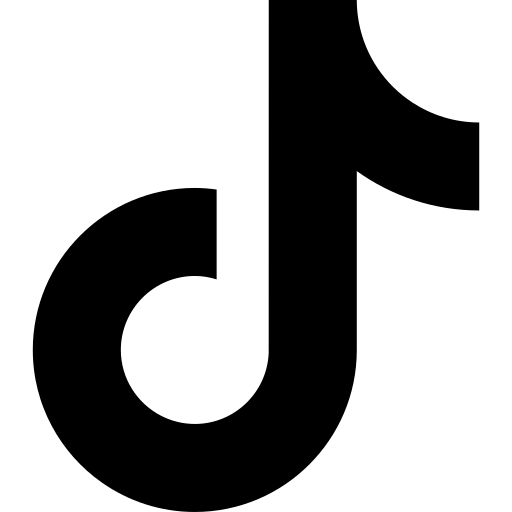 TikTok Marketing API